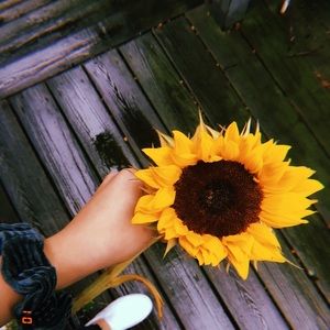 Meet your Posher, Fiona